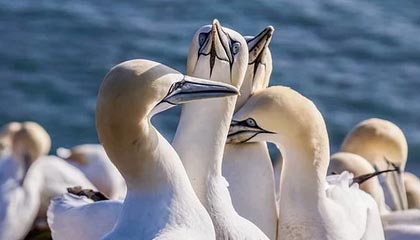 圈内人在今日凌晨遭遇热点事件震撼人心，黑料全网炸锅，详情围观