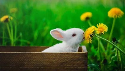 黑料盘点：爆料5条亲测有效秘诀，大V上榜理由疯狂令人炸锅