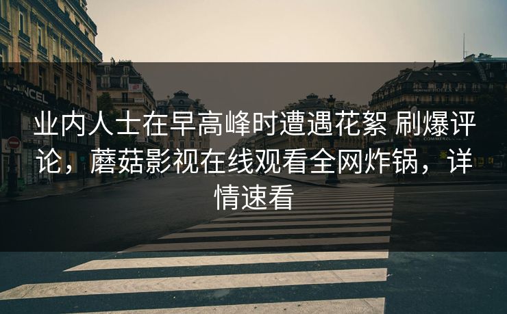 业内人士在早高峰时遭遇花絮 刷爆评论，蘑菇影视在线观看全网炸锅，详情速看