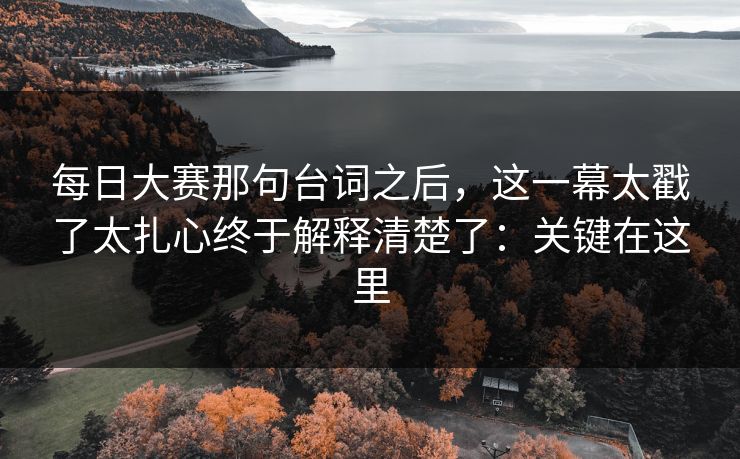 每日大赛那句台词之后，这一幕太戳了太扎心终于解释清楚了：关键在这里